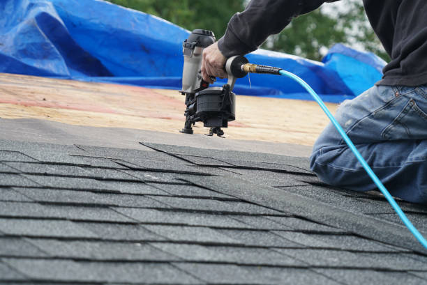 Best Asphalt Shingle Roofing  in Woodville, MS